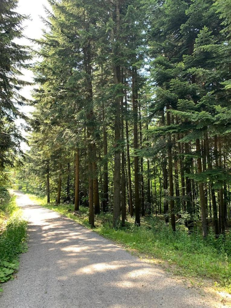 Lodge Marzeniec W Beskidzie Niskim *